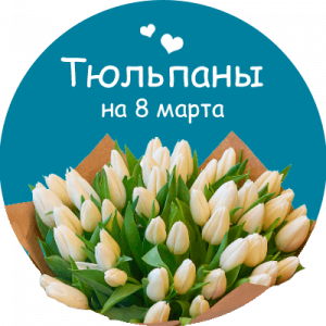 Купить тюльпаны в Жукове